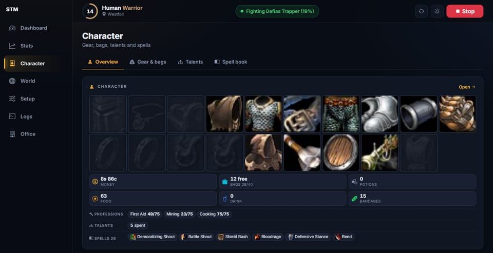 The dashboard’s character page, showing the equipped gear, bags, professions, talents and spells.